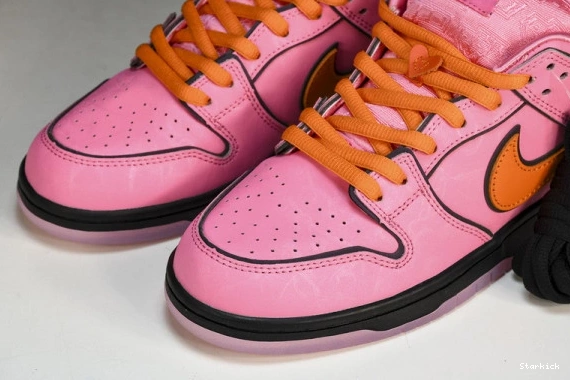 Powerpuff Girls  Nk x Dunk The Low FZ8319-600 SB 1110